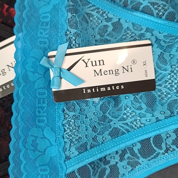 4 Lace Panties L NWT - Picture 2 of 3